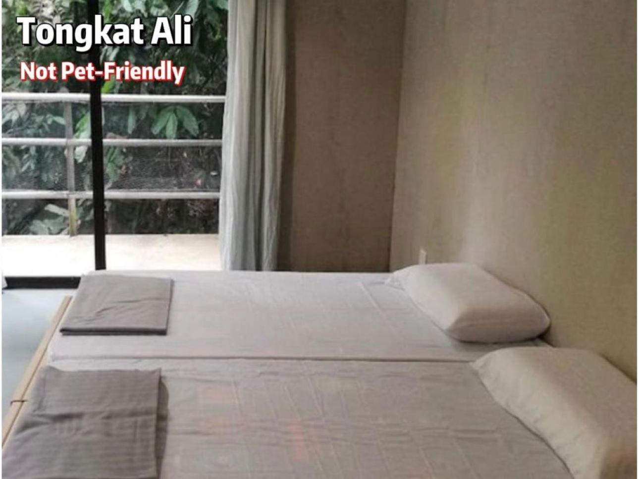 Gibbon Retreat Bentong Hotel Bagian luar foto