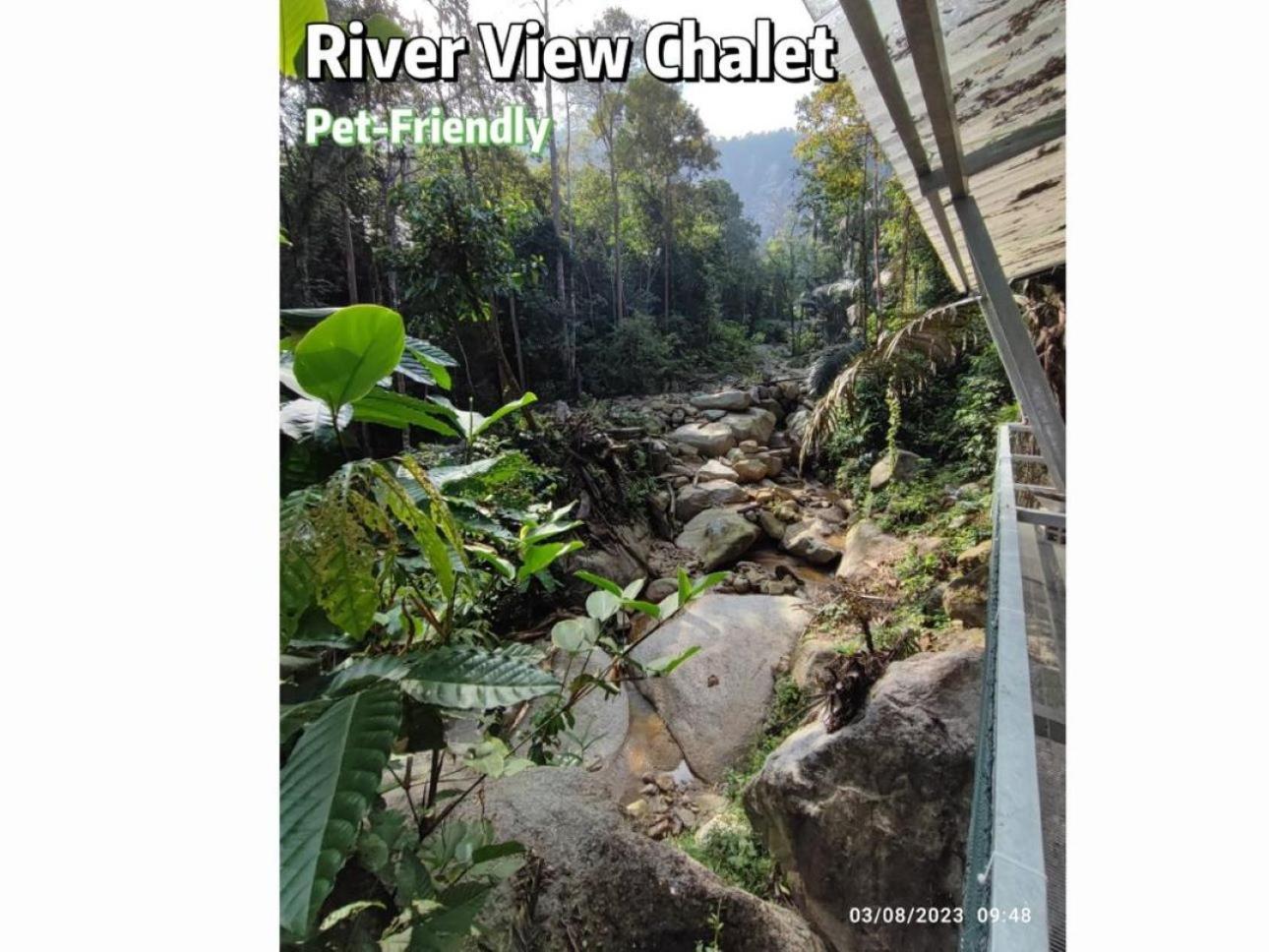 Gibbon Retreat Bentong Hotel Bagian luar foto