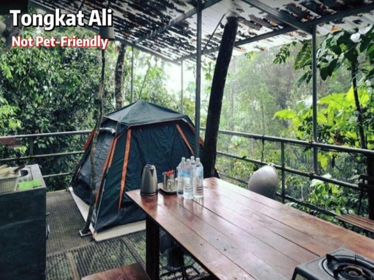 Gibbon Retreat Bentong Hotel Bagian luar foto