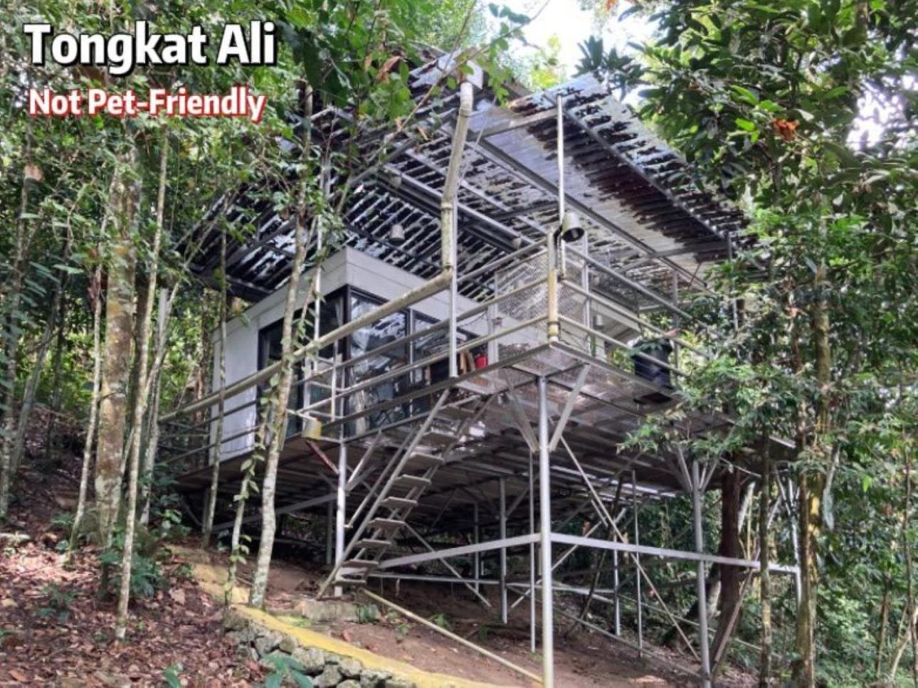 Gibbon Retreat Bentong Hotel Bagian luar foto